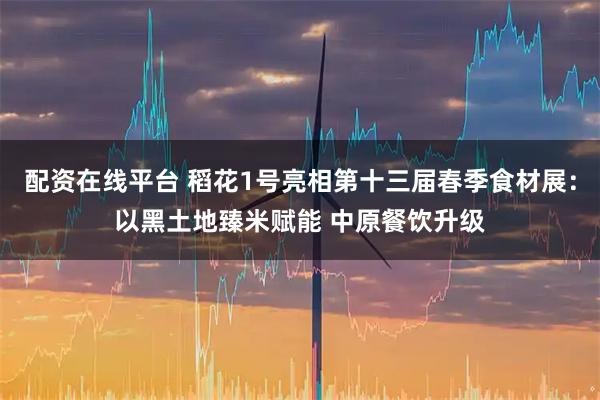配资在线平台 稻花1号亮相第十三届春季食材展：以黑土地臻米赋能 中原餐饮升级