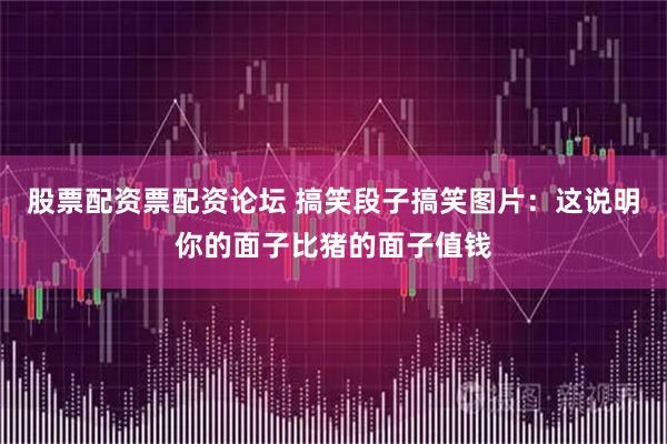 股票配资票配资论坛 搞笑段子搞笑图片：这说明你的面子比猪的面子值钱