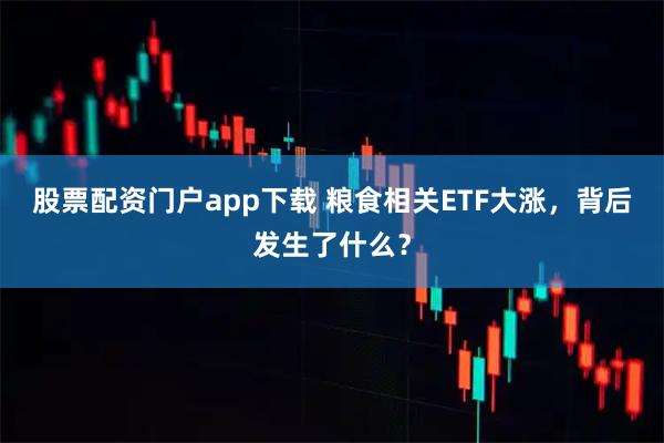 股票配资门户app下载 粮食相关ETF大涨，背后发生了什么？
